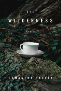 The best books on Mental Illness - The Wilderness by Samantha Harvey