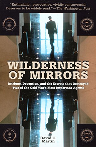 Wilderness of Mirrors by David C Martin