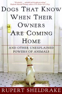 Dogs That Know When Their Owners are Coming Home by Rupert Sheldrake