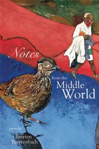 The best books on Post-Apartheid Identity - Notes from the Middle World by Breyten Breytenbach