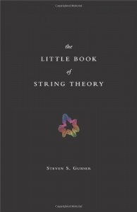 The best books on String Theory - The Little Book of String Theory by Steven Gubser