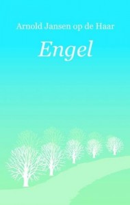A Poet Soldier’s View of Bosnia - Engel by Arnold Jansen & Arnold Jansen op de Haar