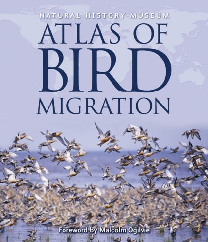 Atlas of Bird Migration by Jonathan Elphick & Jonathan Elphick (editor)