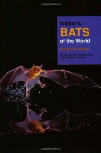 The best books on Bats - Walker’s Bats of the World by R M Nowak