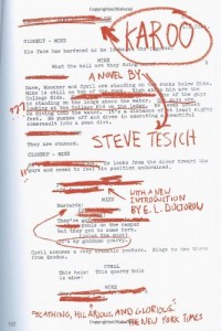 The best books on Filmmaking - Karoo by Steve Tesich
