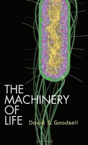 The best books on The Strangeness of Life - The Machinery of Life by David S. Goodsell