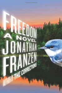The best books on Dutch Women (and Happiness) - Freedom by Jonathan Franzen
