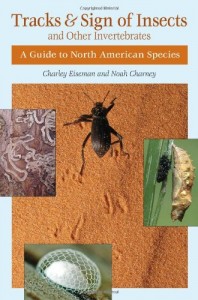 The best books on The Art of Observation - Tracks and Sign of Insects and Other Invertebrates by Charley Eiseman and Noah Charney