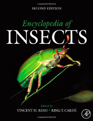 Encyclopedia of Insects by Vincent H Resh and Ring T Cardé