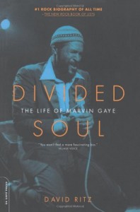 Santigold on her Favourite Music Books - Divided Soul by David Ritz
