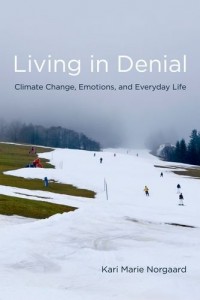 The best books on Consumption and the Environment - Living in Denial by Kari Marie Norgaard
