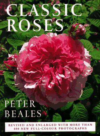 Classic Roses by Peter Beales