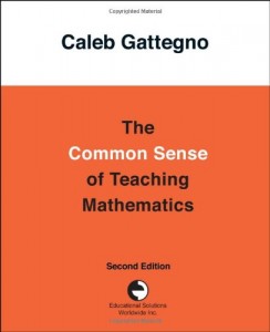 The best books on Teaching Maths - The Common Sense of Teaching Mathematics by Caleb Gattegno