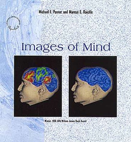 The Best Books On Cognitive Neuroscience - Five Books Expert ...