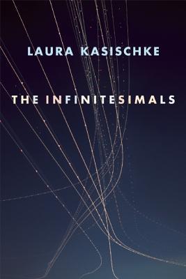 The Infinitesimals by Laura Kasischke