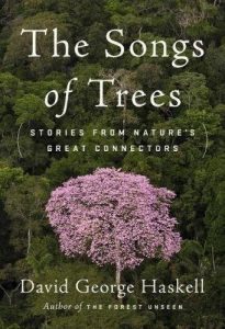 The best books on Natural History - The Songs of Trees: Stories from Nature's Great Connectors by David George Haskell
