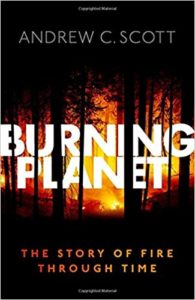 The best books on Evolution of the Earth - Burning Planet - The Story of Fire Through Time by Andrew Scott