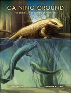 The best books on Evolution of the Earth - Gaining Ground by Jennifer Clack