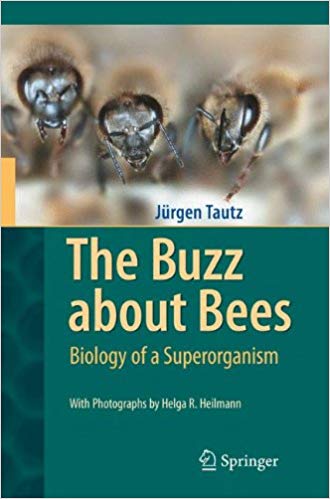 The Buzz About Bees by Jürgen Tautz