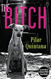 The Best Colombian Novels - The Bitch by Pilar Quintana