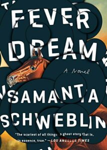Literary Horror Books - Fever Dream: A Novel by Samanta Schweblin