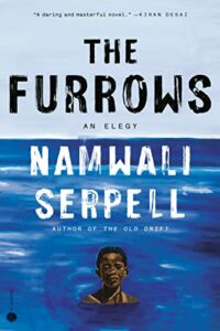 The Furrows: An Elegy by Namwali Serpell