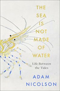 The Sea Is Not Made of Water: Life Between the Tides by Adam Nicolson