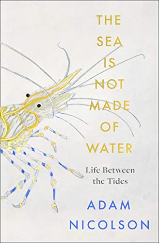 The Sea Is Not Made of Water: Life Between the Tides by Adam Nicolson