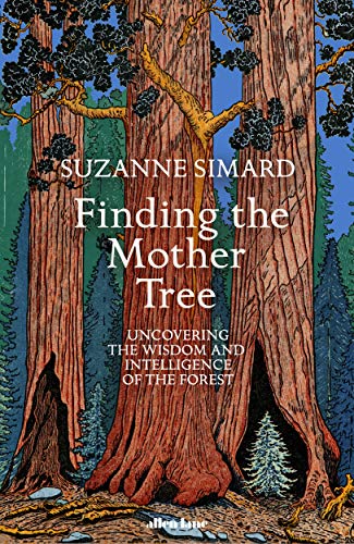 Finding the Mother Tree: Discovering the Wisdom of the Forest by Suzanne Simard