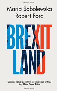 The best books on Brexit - Brexitland: Identity, Diversity and the Reshaping of British Politics by Maria Sobolewska & Robert Ford