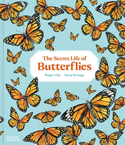 The Secret Life of Butterflies Roger Vila, Rena Ortega (illustrator), translated by Paula Meiss