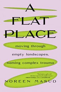 The best books on Chronic Illness - A Flat Place by Noreen Masud
