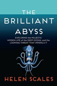The best books on Ocean Life - The Brilliant Abyss: Exploring the Majestic Hidden Life of the Deep Ocean, and the Looming Threat That Imperils It by Helen Scales