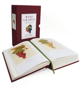 The best books on Wine - Wine Grapes: A complete guide to 1,368 vine varieties, including their origins and flavours by Jancis Robinson
