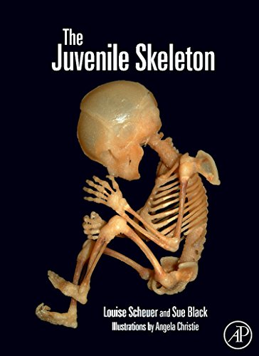 The Juvenile Skeleton by Louise Scheuer & Sue Black