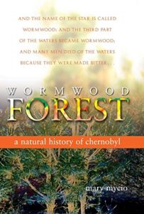 The best books on Abandoned Places - Wormwood Forest: A Natural History of Chernobyl by Mary Mycio