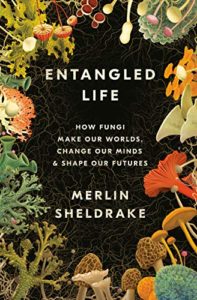Best Conservation Books of 2021 - Entangled Life: How Fungi Make Our Worlds, Change Our Minds & Shape Our Futures by Merlin Sheldrake