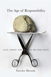 The Best Politics Books of 2020 - The Age of Responsibility: Luck, Choice, and the Welfare State by Yascha Mounk