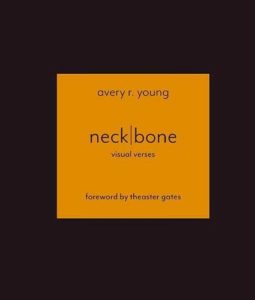 The Best Poetry Books of 2019 - neckbone: visual verses by avery r. young