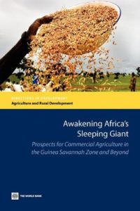 The best books on Africa through African Eyes - Awakening Giant Africa by Charles Nhova