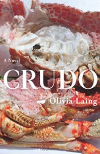 The Best of Autofiction - Crudo: A Novel by Olivia Laing