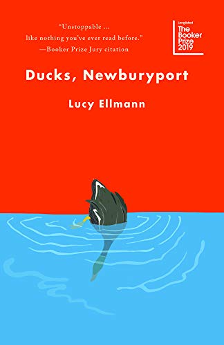 Ducks, Newburyport by Lucy Ellmann