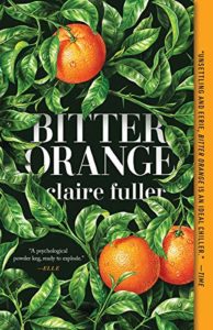 The Best Novellas - Bitter Orange by Claire Fuller