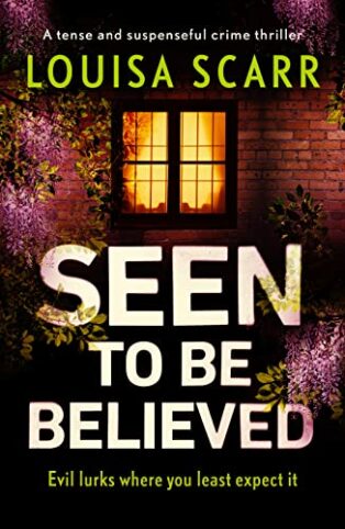 Seen to Be Believed by Louisa Scarr