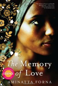The Best African Novels - The Memory of Love by Aminatta Forna
