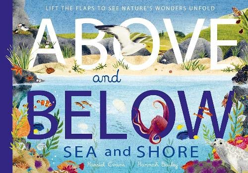 Above and Below: Sea and Shore Harriet Evans & Hannah Bailey (illustrator)