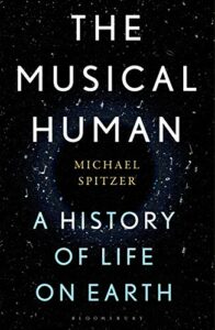 The best books on Sound - The Musical Human: A History of Life on Earth by Michael Spitzer