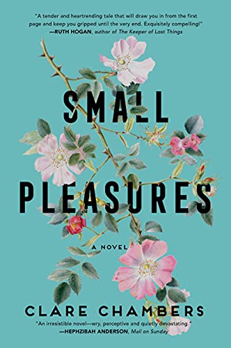 Small Pleasures by Clare Chambers