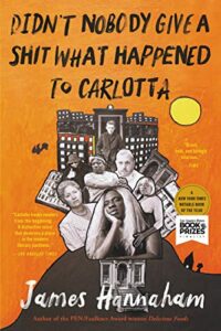 The Funniest Books of 2023 - Didn't Nobody Give a Shit What Happened to Carlotta by James Hannaham
