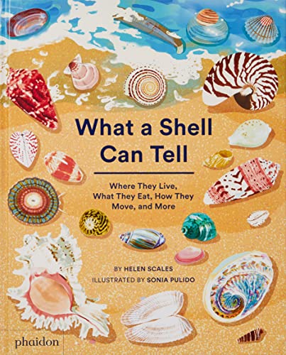 What a Shell Can Tell by Helen Scales & Sonia Pulido (illustrator)